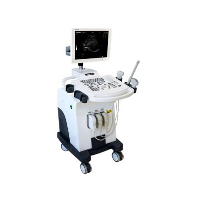 China GH-370 Medisch het Karretje Volledig Digitaal B W Ultrasoon Kenmerkend Materiaal van de Ultrasone klankmachine Te koop