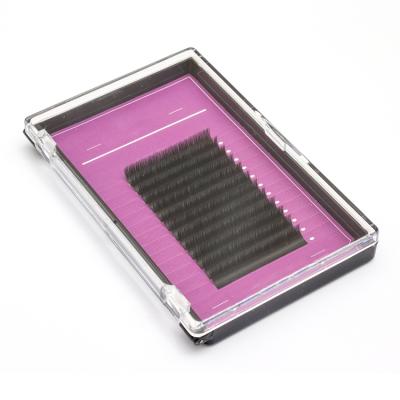 China Natural Private Label Lashes Tray Matte Black Individual Classic Lash Single Eyelash Extensions for sale