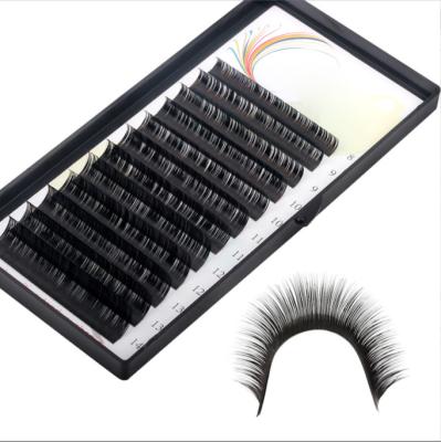 China Korea Premium Dark Black Eyelash Extensions 0.03mm Long OEM Manufacturing Natural Factory Wholesale Supplies for sale