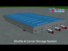 Carrier And Shuttle Pallet ASRS, Automated Storage and Retrieval System