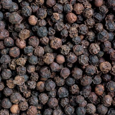 China Good quality natural bulk black pepper dry for halal food for sale