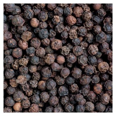 China Best Price Dry Malaysia Dried Black Pepper For Sale for sale