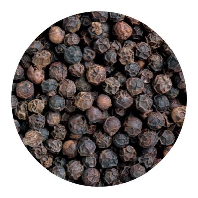 China Good Quality Natural Whole Seed Dry Black Pepper Herbs for sale