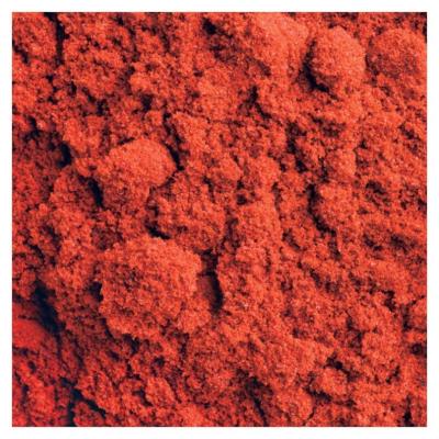 China Dry Wild Spice Paprika Red Chilies Seasoning Powder for sale