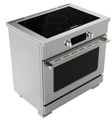 China Hyxion Europe Household 2900W Single Electric Oven 230V 122L Gas Built-In Oven With Two Convection Fans for sale