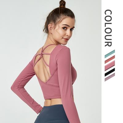 China New Design Fitness Plain Ladies Gym Wear Fit Breathable Pullover Slim Top Long Sleeve Backless Crop Top for sale