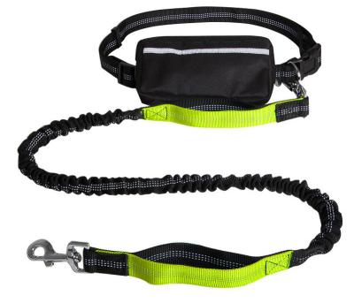 China 2021 hot sale dog belt leashes low price standard size dog leash viable thick pet accessories sample free charms dog leash for sale