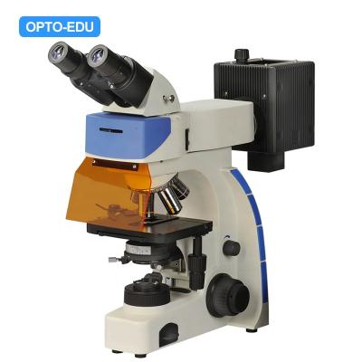 China OPTO-EDU A16.2701-B2i Fluorescence Microscope Fluorescent Microscope A16.2701-B2i for sale