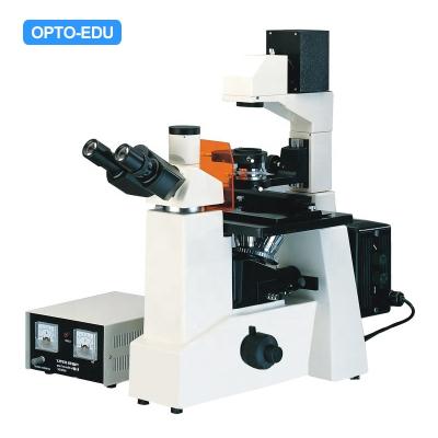 China OPTO-EDU A16.0201 1000x Inverted and Mirrored Trinocular A16.0201 Epi Fluorescence Microscope for sale