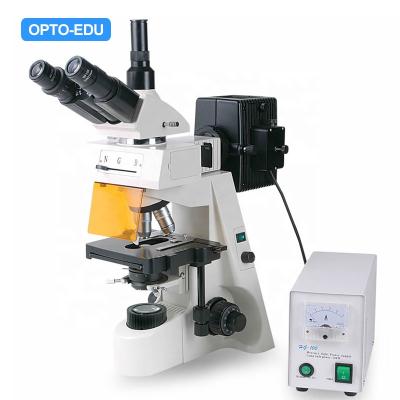 China OPTO-EDU A16.1103-D 1000x LED Binocular Trinocular Fluorescence Microscope A16.1103-D for sale