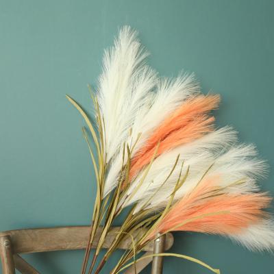 China Home.hotel.lighting new dry Amazon decorative natural decorative flowers to bloom artificial flowers tall pampas grass for sale