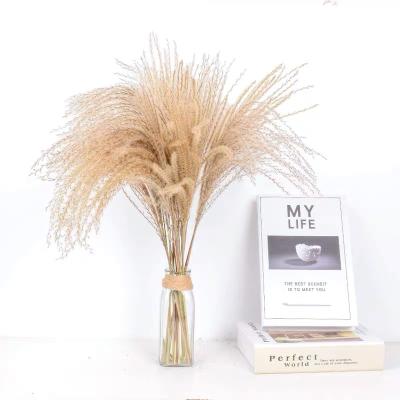 China Home.hotel.lighting Flowers Decorative Large Dried Pampas Grass Preserved Flowers For Wedding Christmas Valentine Bag Halloween Easter Flower for sale