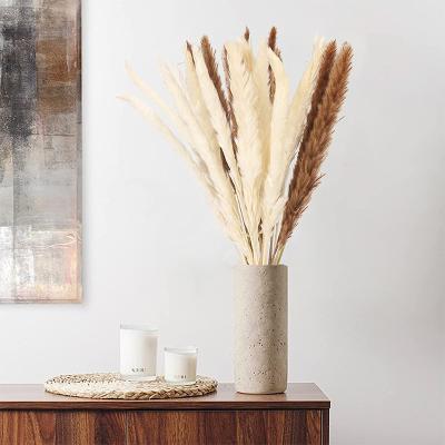 China Amazon Sale Home.hotel.lighting Artificial Flowers Pampas Grass Gray Natural Dry Flowers Boho Wedding Rose White Beige Home Decorative Large Decor Large Dried for sale