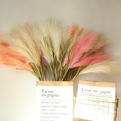 China Home.hotel.lighting decorative new arrivals natural Amazon Amazon flowers dry to bloom artificial flowers pampas tall pampas grass for sale