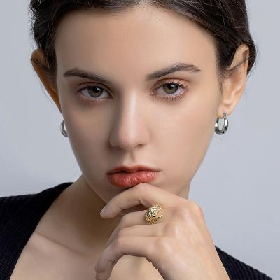 China Trendy Fashion Punk Hoop Earrings 14k Gold Hoop Earrings Fashion Jewelry 2021 For Women for sale