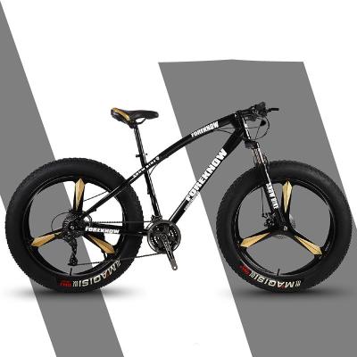 China Black Steel Fatbike 21 Speed ​​Carbon Steel Frame Disc Brake 20 24 26 Inch Fat Bike For 12 Years for sale