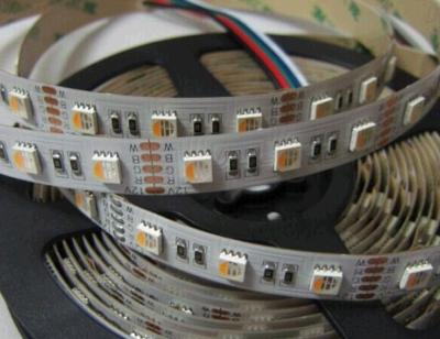 China DC12V DC24V Available 5050 RGBW/RGBWW/RGBCW LED Strip for sale