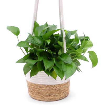 China Eco-friendly natural high quality vegetable plankton pots and hanging cotton rope plant wickerwork basket for plants for sale