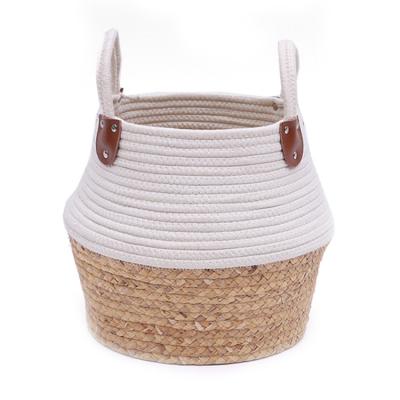 China Sustainable Handmade Natural Sea Grass Storage Bin Plant Baskets for sale