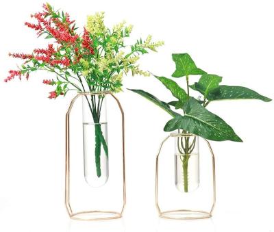 China CLASSIC Mini Home Tabletop Greenhouses Planter Tube Glass Vase Metal Decor Frame Test Tube for sale