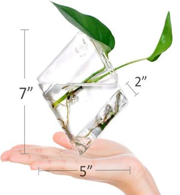 China CLASSIC Simple Creative Crafts Ornaments Bouquet Decorations Flower Vase Mini Greenhouses Dry Transparent Hanging Glass Plants for sale