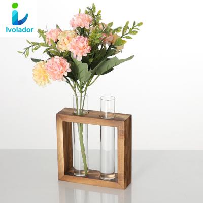 China Minimalist Indoor Small Plant Flower Glass Tube Vase,Decoration Desktop Tube for Small Plants for sale