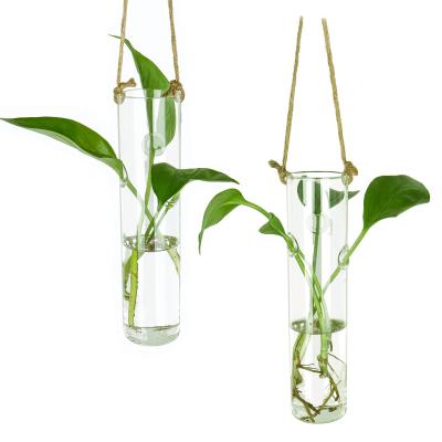 China Modern Office Home Clear Cylinder Flower Vases Decorative Hanging Glass Air Plant Mini Greenhouse for sale