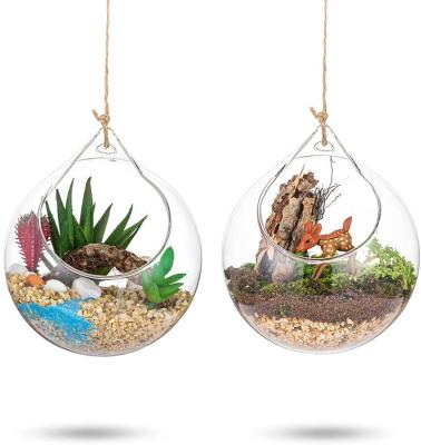 China Good quality CLASSIC pendant Crystal Glass Flower Vases 4.7 inch mini air plant glass greenhouse for sale