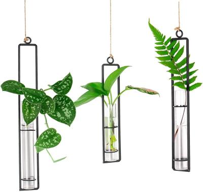 China Newest 2022 CLASSIC hydroponic vase different 3 pack length test tube vase bub vase for sale