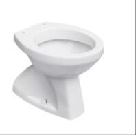 China Washdown Type White Floor Standing Toilet For Exposed Toilet Cistern for sale