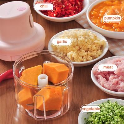 China Viable Mini Garlic Chopper Powerful Garlic Chopper Portable Small Food Processor Cordless Electric Meat Grinder for sale