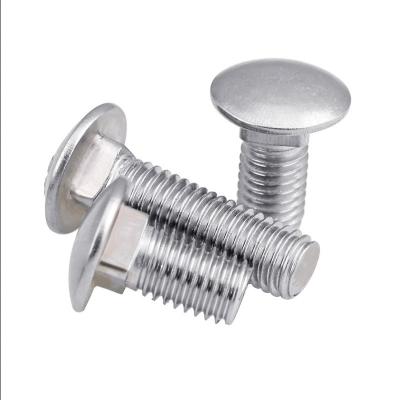 China M6 M8 M10 Stainless Steel Carriage Bolt SS304 SS316 SS316L DIN603 ISO8677 for sale