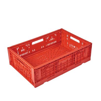 China Maximum ventilation for freshness and quality small collapsible crate of fresh food for sale