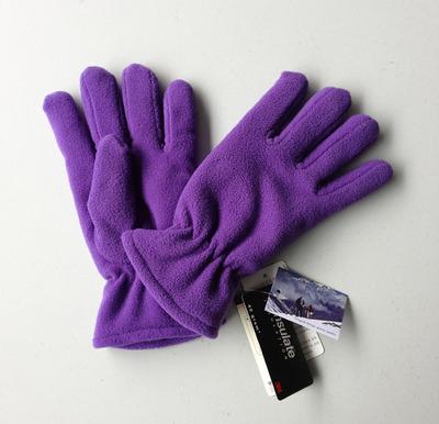 China warm and soft windproof fleece glove factory AGG101M for sale