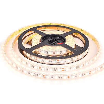 China Residential Classic SMD5050 Led Strip DC12V 24V 10mm Width Flexible Strip Ribbon Light for sale