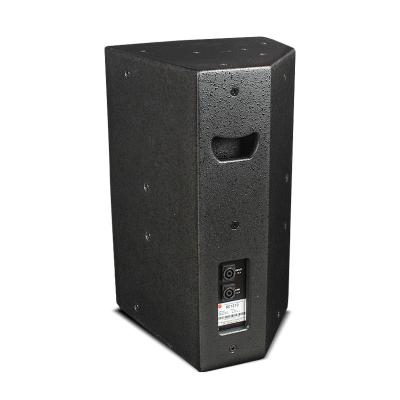 China No Sound Hardware 12inch Speaker Pro Speaker Management System for sale