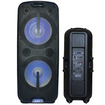 China 300W Wireless Dual 15