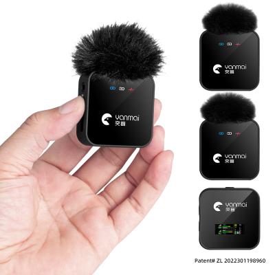 China Dual Microphone Mic Phone Mini Lavalier Wireless Microphone Live Stream Wireless Lapel USB Professional Microphone for sale