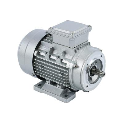 China Hotels YE2 Series High Efficiency Three Phase Ac Asynchronous Motor for sale