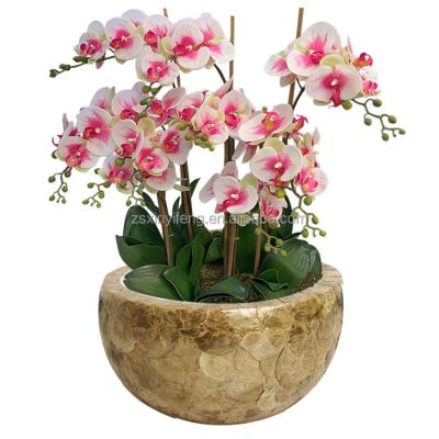 China Household Table Decoration Household Bowl Shape Handmade Shell Fiberglass Flower Vase Gold Sea Orchid Pot for sale