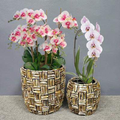 China European High Quality Natural Sea Shell Planters Mother Broom Popular Orchid Pot Big Flower Pearl Vase Pot Netherlands for sale