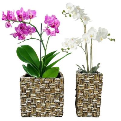 China New European Seashell Planters WIPE Mother Of Pearl Large Square Shape Flower Pot Vase for sale