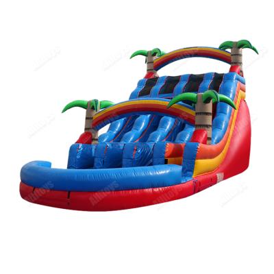 China 0.55mmpvc Tarpaulin Double Lane Inflatable Water Slide For Adults for sale