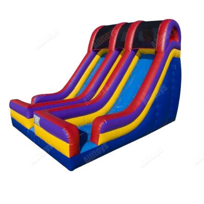 China 0.55mmpvc Tarpaulin Commercial Grade Colorful Inflatable Double Lane Slide For Kids Party for sale