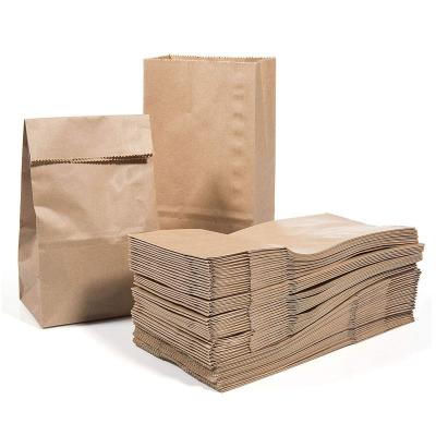 China Shira Wholesale Printed Brown Kraft BIODEGRADABLE Paper Shopping Bags with Twist Handle Tote Bag for sale