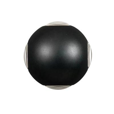 China Garden Beam Angle Sand Ball Shape Yard Home LED Changing Black And White Light for sale