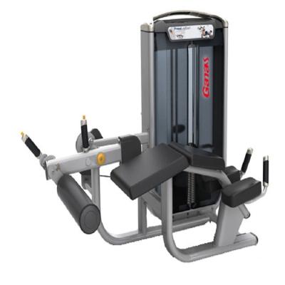 China Home Hot Sale Commerical Fitness Center Leg Curl Prone Machine High End Commercial Gym Fitness Equipment for sale