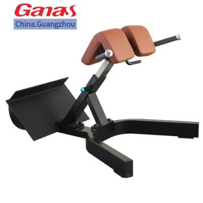 China Hot Selling GANAS Gym Equipment Professional Fitness Machine Roman Chair Machine For Gym 1300*800*720 mm for sale