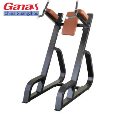 China Guangzhou Factory GANAS Gym Fitness Equipment Universal V-Crunch Machine Abdominal Trainer Machine For Gym for sale