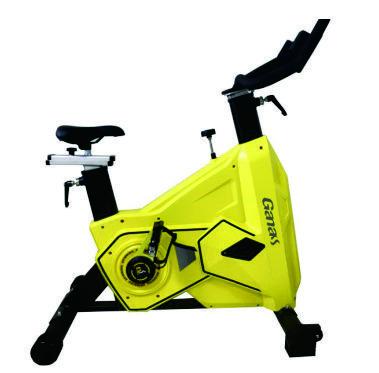 China 2020 New Universal Design Cartoon Gym Exercise Bike Cardio Spinning Training Bike for sale